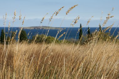 Sonbahar Sahili - 11