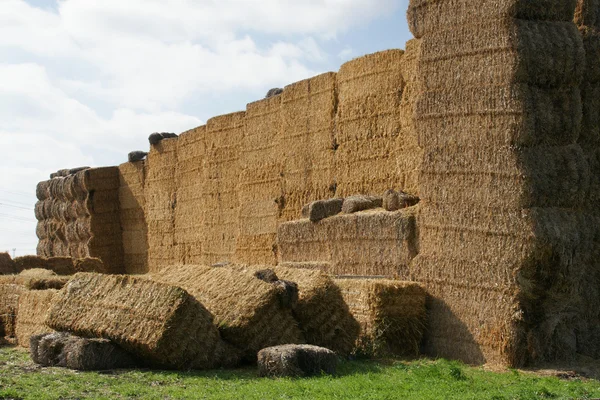 Yığını saman - 2