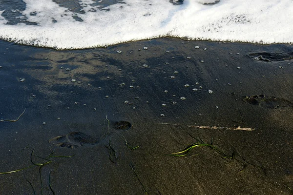 Black beach - 1 — Stock Photo, Image