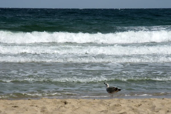 Fim de verão - 1 — Fotografia de Stock