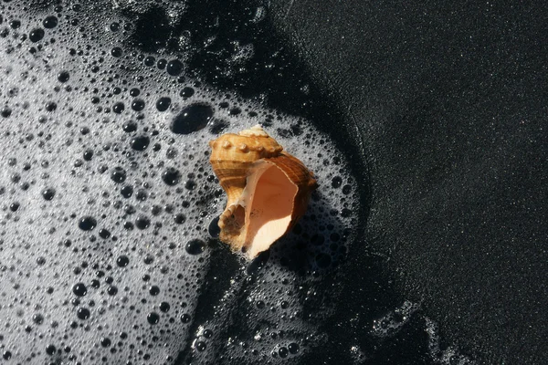 Spazio sulla spiaggia - 9 — Foto Stock