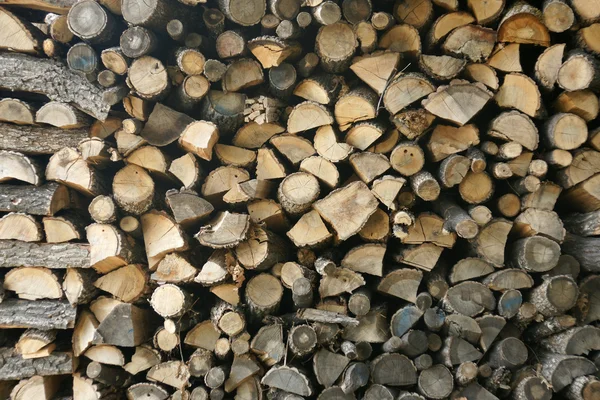 Pila di legno - 13 — Foto Stock