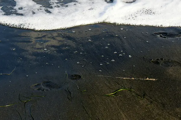 Siyah beach - 1