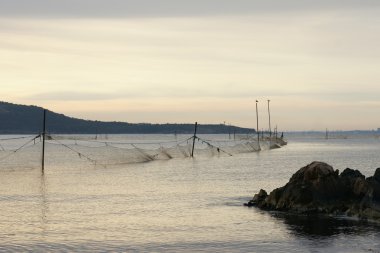 Balık ağlarına - 6