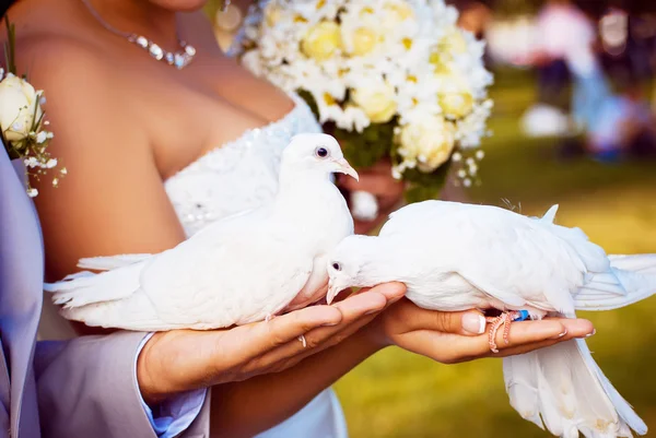 Düğün Çiçeğindeki Eller ve Yüzükler