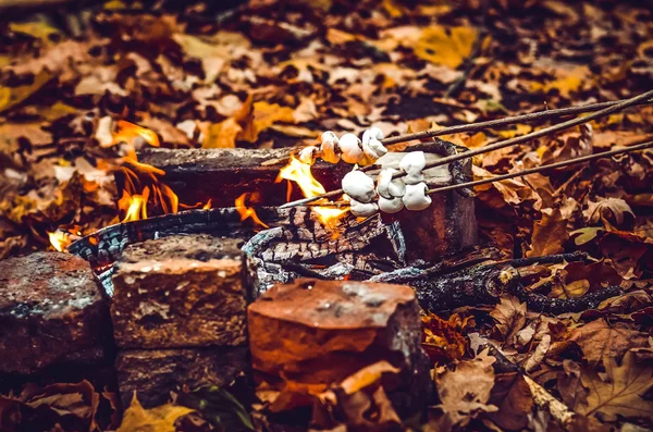 Sonbahar ormanında şenlik ateşi
