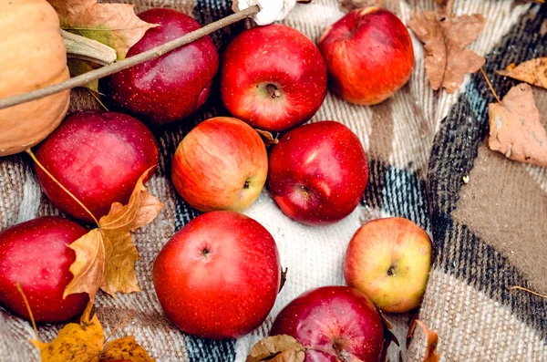 Reife biologische Früchte lizenzfreie Stockbilder