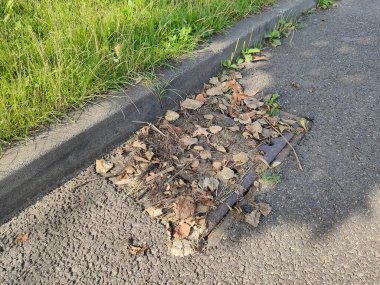 Sonbahar fırtınası veya yağmurdan sonra dökülen yapraklarla tıkanmış kanalizasyon ızgarası.