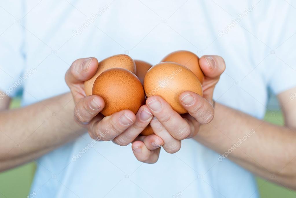 Chicken eggs in female hands