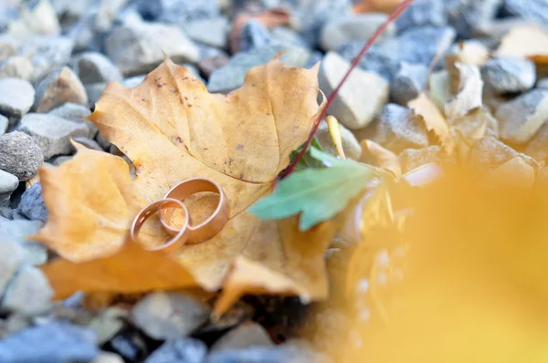 Fleurs dans les mains — Photo