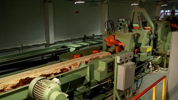 Линия для обработки древесины и древесины на деревообрабатывающем и мебельном заводе — стоковое видео