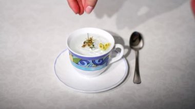 Bitkisel çay hazırlanması