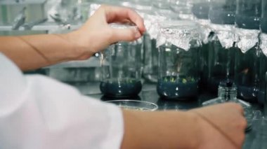 Biyoloji Laboratuvarı iş bitkileri tarım ile