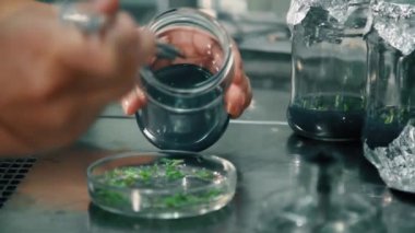 Biyoloji Laboratuvarı iş bitkileri tarım ile