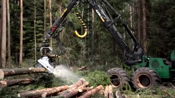 Récolteuse de bois de pin dans la forêt — Video