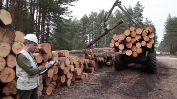 Fenyő fűrészáru naplózás továbbító logisztikai igazgató irányítása alatt az erdőben — Stock videók