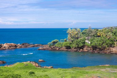 Palmiye ağaçları Sri Lanka batımında sahilde