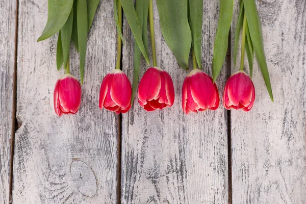 Flores, presente, tulipas, fundo — Fotografia de Stock