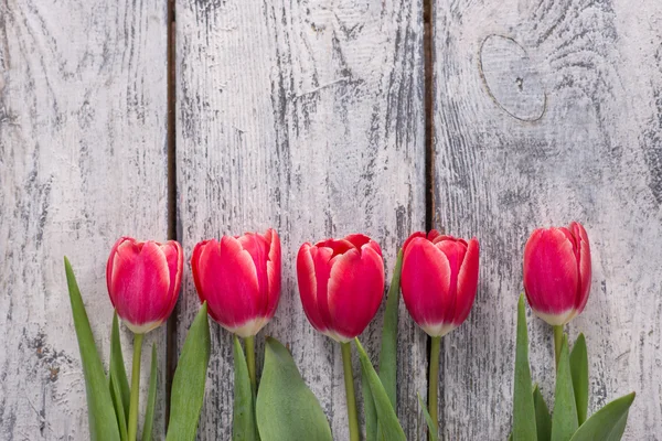 Flores, presente, tulipas, fundo — Fotografia de Stock