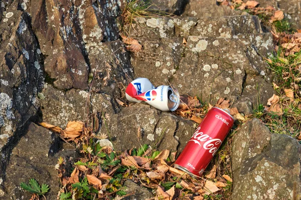 Bir kola kutusu ve ezilmiş bir pepsi tenekesi kayanın üzerine uzanmış. 