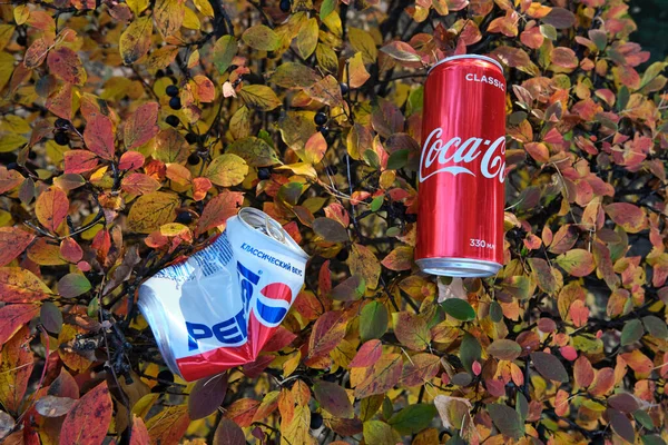 A coca cola tin a smashed pepsi can lie down on autumn leaves — Stock Photo, Image