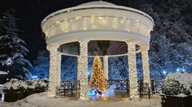 Crown Plaza Hotel Georgia, 20.25.12. Borjomi, Borjomi Nehri. Yeni yıl tatili 2021. Noel ağacı