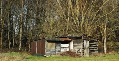 Etrafı çim ve ormanlarla çevrili küçük bir ahşap kulübe. Ahşap ve ıvır zıvırdan yapılmış. Asbestli çatı.