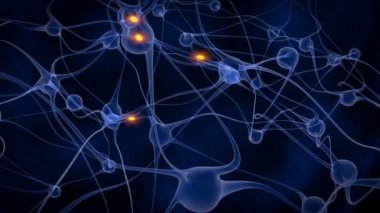 beyin bağlantıları hızlı hareketli 3D simülasyon