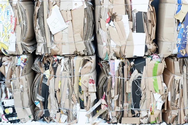 Waste paper bales for transfer to a procurement point. Environmental concept. Imágenes de stock libres de derechos