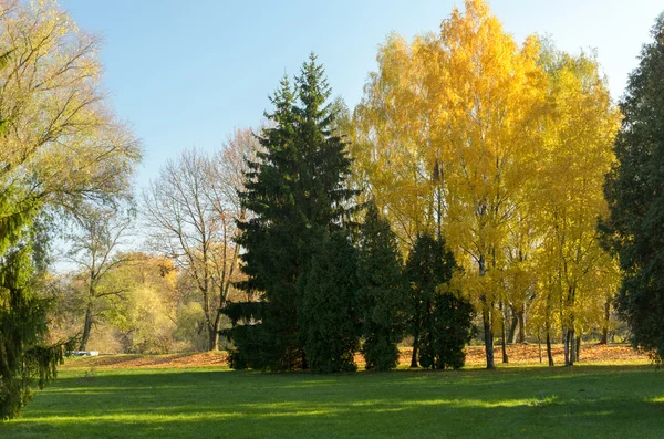 Sonbahar renkleri. Manzara