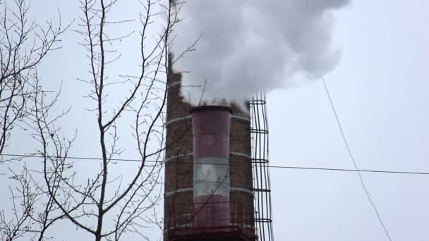 Pipe smoke — Stock Footage Pipe smoke Stock Footage