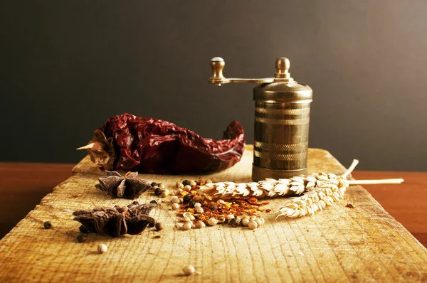Vintage grinder with spices — Stock Photo, Image