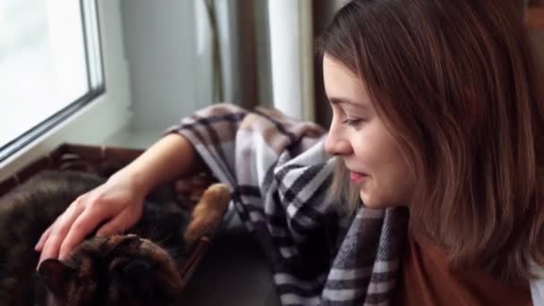 Jovem mulher envolto em marrom xadrez xadrez acariciando engraçado admirável gato tartaruga. Interior da casa, close up — Vídeo de Stock