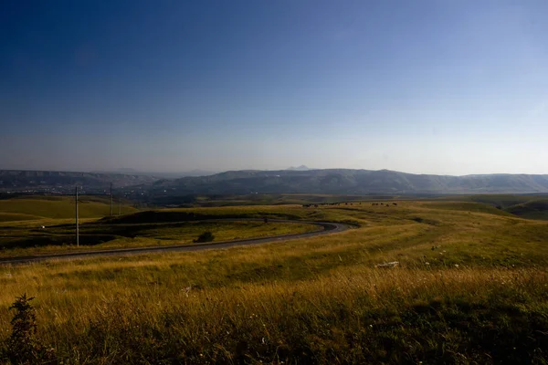 Atların otladığı dağlık çayırlar. Ufuktaki dağlar. Yol çayırların arasından geçiyor.