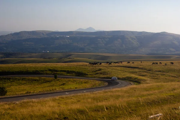 Atların otladığı dağlık çayırlar. Ufuktaki dağlar. Yol çayırların arasından geçiyor.