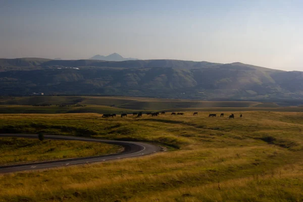 Atların otladığı dağlık çayırlar. Ufuktaki dağlar. Yol çayırların arasından geçiyor.
