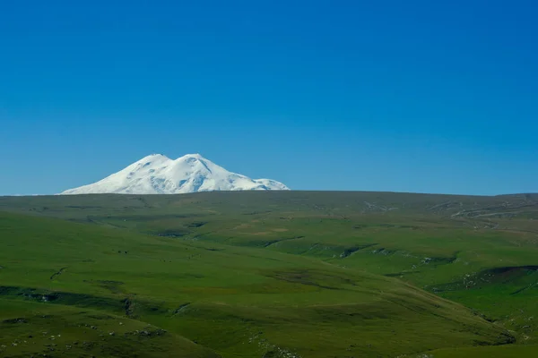 Güneşli bir günde, karlı Elbrus Dağı manzaralı güzel dağlık çayırlar.