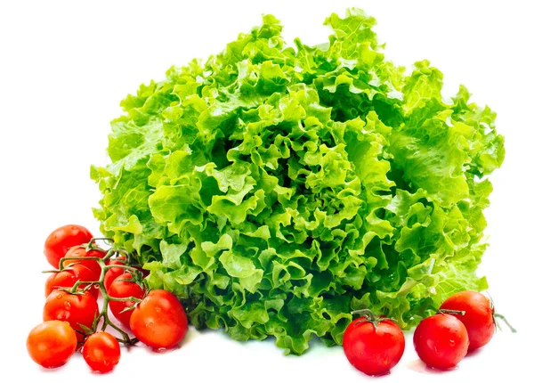 Sla salade en tomaten geïsoleerd op wit — Stockfoto