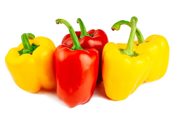 Pimientos aislados sobre fondo blanco — Foto de Stock