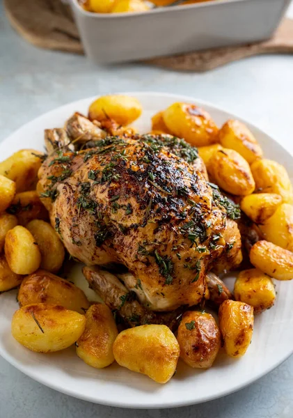 Roast chicken with potatoes ready to eat — Stock Photo, Image