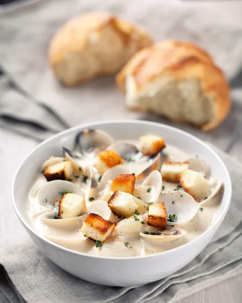 Clam Chowder — Stockfoto