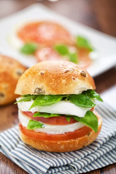 Vegetarian Sandwich — Stock Photo, Image