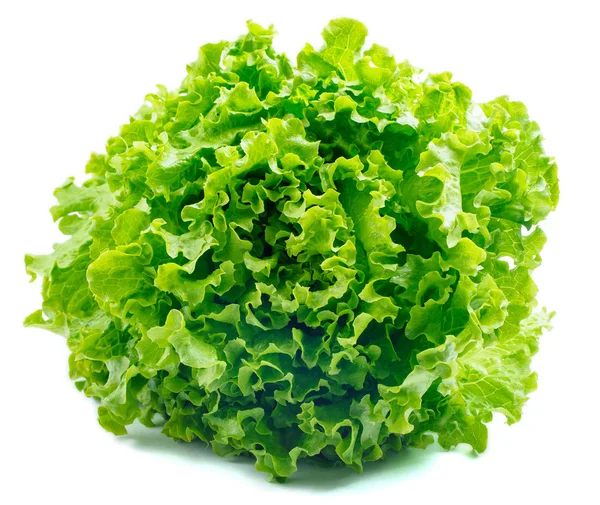 Lettuce Salad Isolated On White — Stock Photo, Image