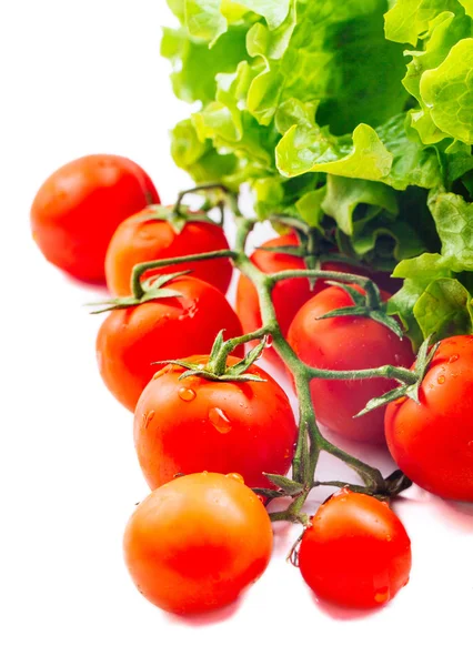 Ensalada de lechuga y tomates aislados en blanco —  Fotos de Stock