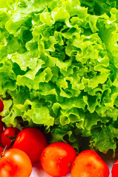 Салат из салата и помидоры — стоковое фото