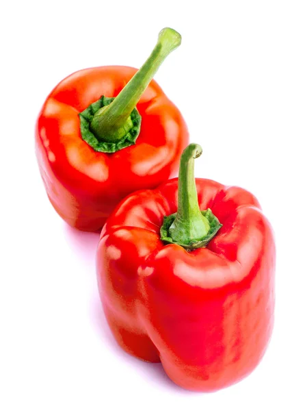 Rødt paprika isolert på hvit bakgrunn – stockfoto