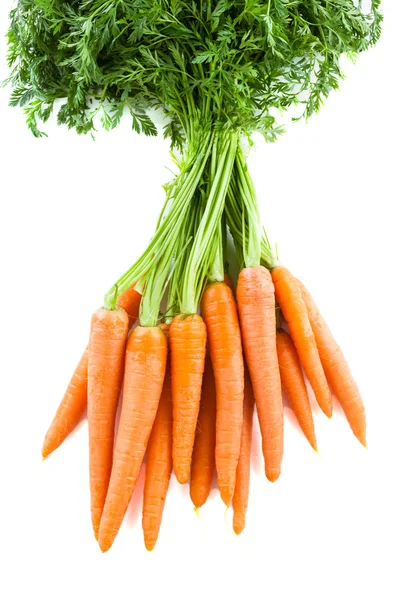 Manojo de zanahorias frescas con tapas verdes. Aislado sobre un blanco . — Foto de Stock