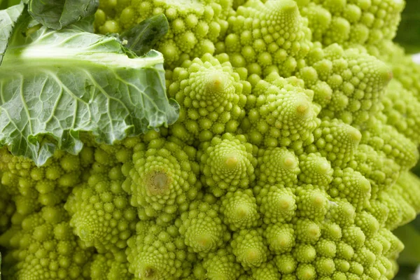 Romanesque cauliflower — Stock Photo, Image