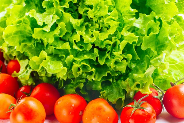 Lettuce Salad And Tomatoes — Stock Photo, Image