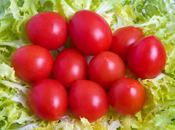 Ensalada de tomate —  Fotos de Stock